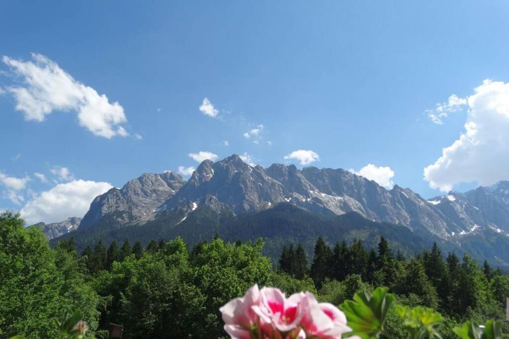 Ferienwohnung Zugspitze Грайнау Экстерьер фото